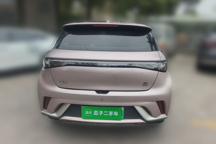 Used BYD Dolphin 2021 405 km Free Version Rear