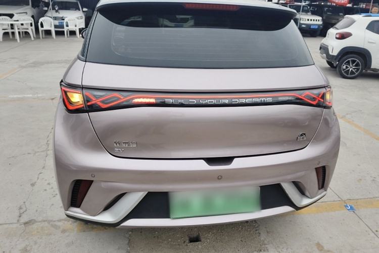 Used BYD Dolphin 2021 405 km Fashion Edition Rear