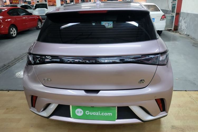 Used BYD Dolphin 2021 405 km Fashion Edition Rear