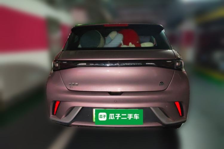 Used BYD Dolphin 2021 405 km Fashion Edition Rear