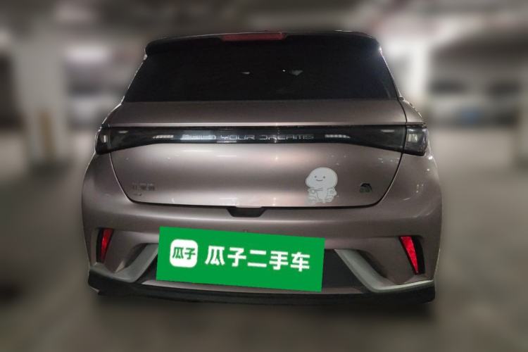 Used BYD Dolphin 2021 401km Knight Edition Rear