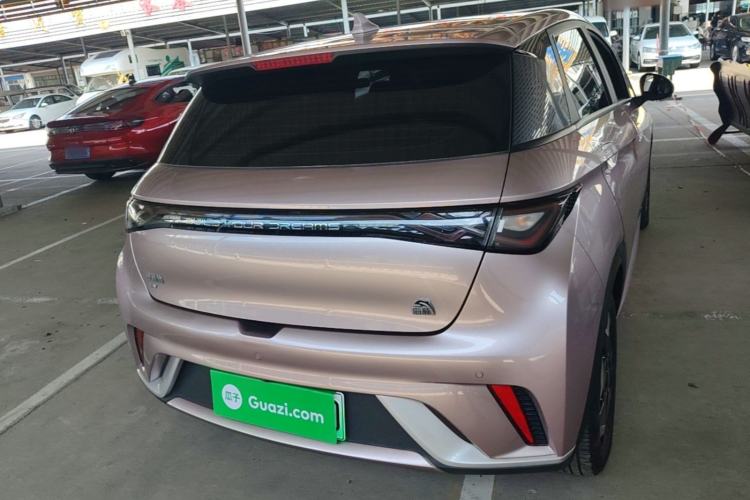 Used BYD Dolphin 2021 405 km Fashion Edition Rear