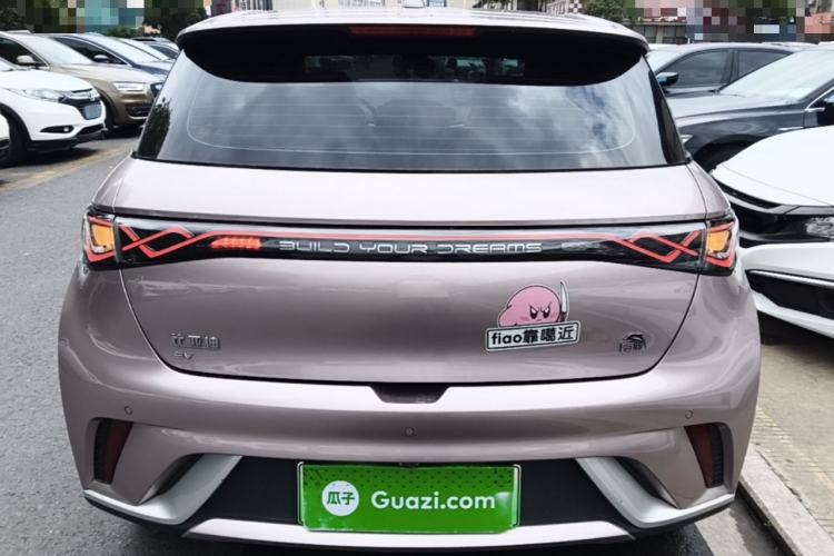 Used BYD Dolphin 2021 405 km Fashion Edition Rear