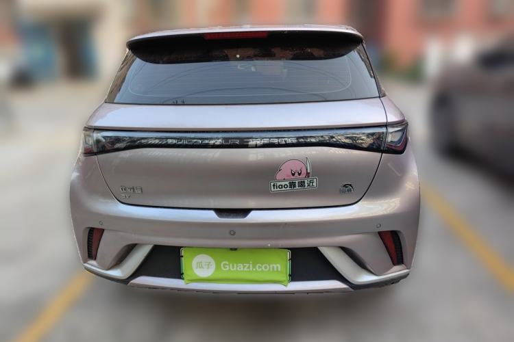 Used BYD Dolphin 2021 405 km Fashion Edition Rear