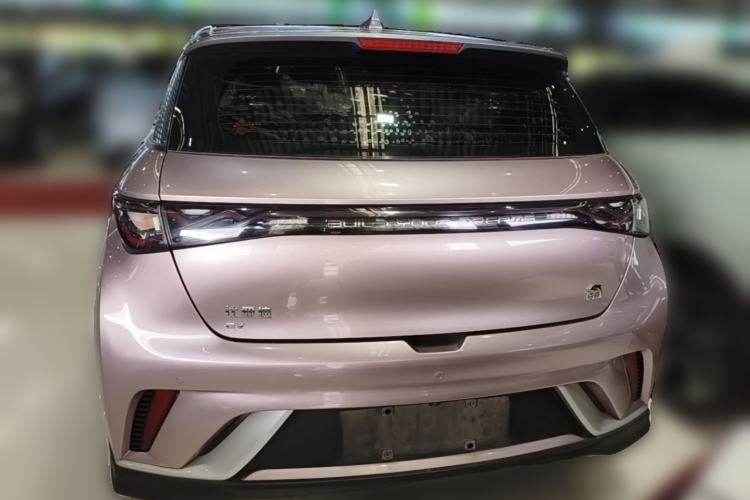 Used BYD Dolphin 2021 401km Knight Edition Rear