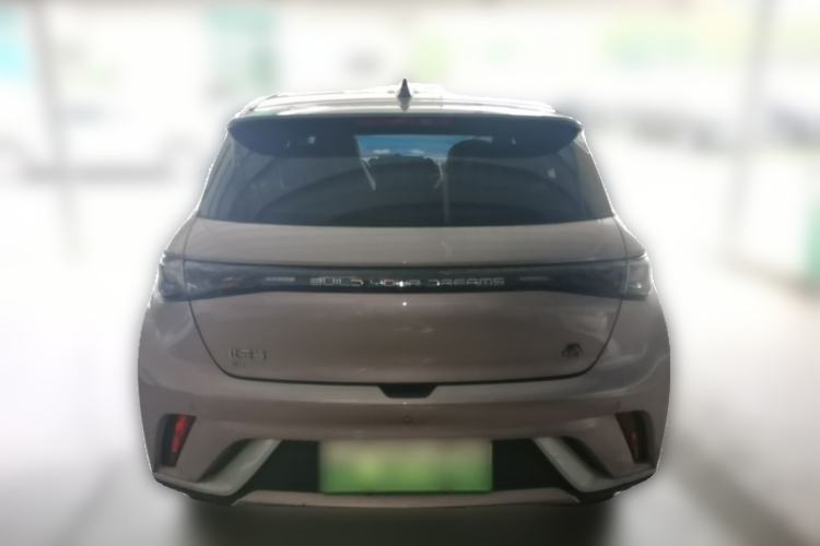 Used BYD Dolphin 2021 405 km Fashion Edition Rear