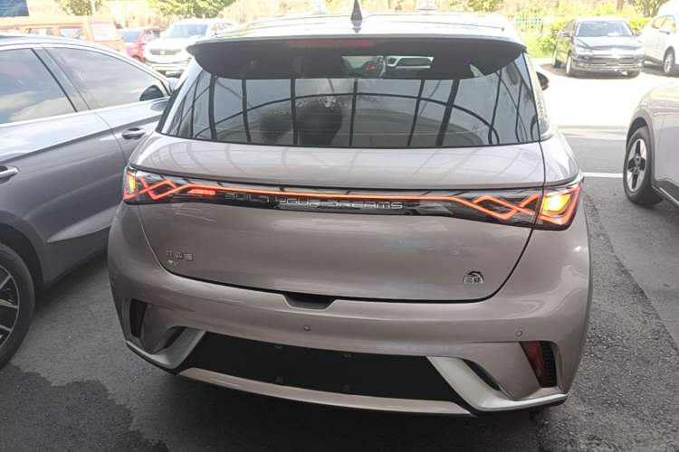 Used BYD Dolphin 2021 405 km Fashion Edition Rear