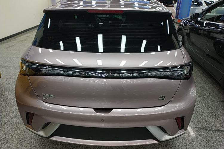 Used BYD Dolphin 2021 405 km Fashion Edition Rear