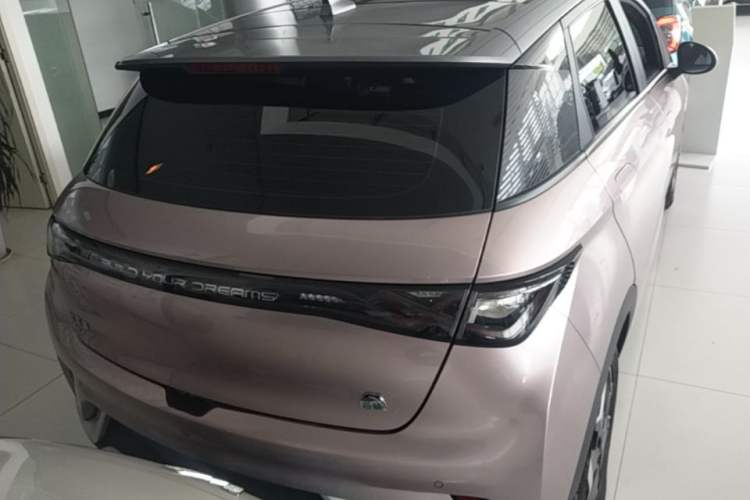 Used BYD Dolphin 2021 405 km Fashion Edition Rear