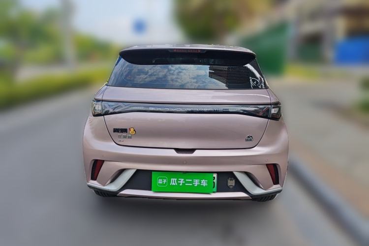 Used BYD Dolphin 2021 405 km Fashion Edition Rear