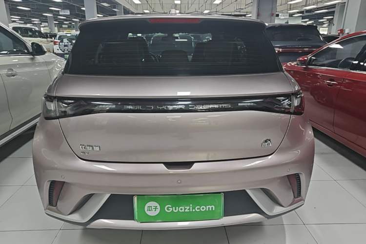 Used BYD Dolphin 2021 405 km Free Version Rear