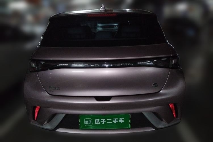 Used BYD Dolphin 2021 405 km Fashion Edition Rear