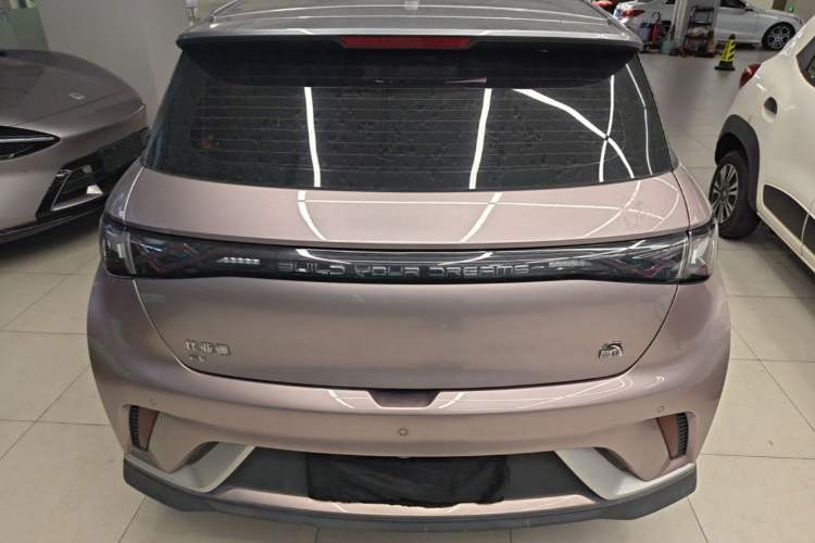 Used BYD Dolphin 2021 401km Knight Edition Rear