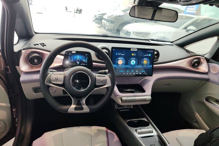 Used BYD Dolphin 2021 405 km Fashion Edition Center Console