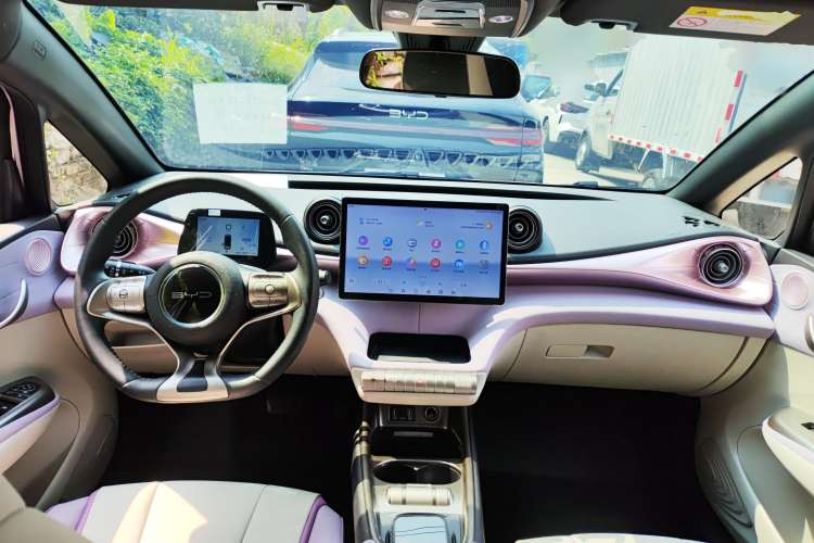 Used BYD Dolphin 2021 405 km Fashion Edition Center Console