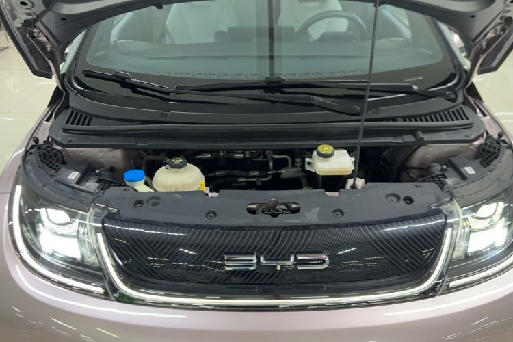 Used BYD Dolphin 2021 405 km Fashion Edition Engine Bay