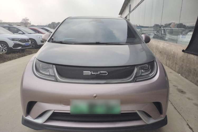 Used BYD Dolphin 2021 401km Knight Edition Exterior 1