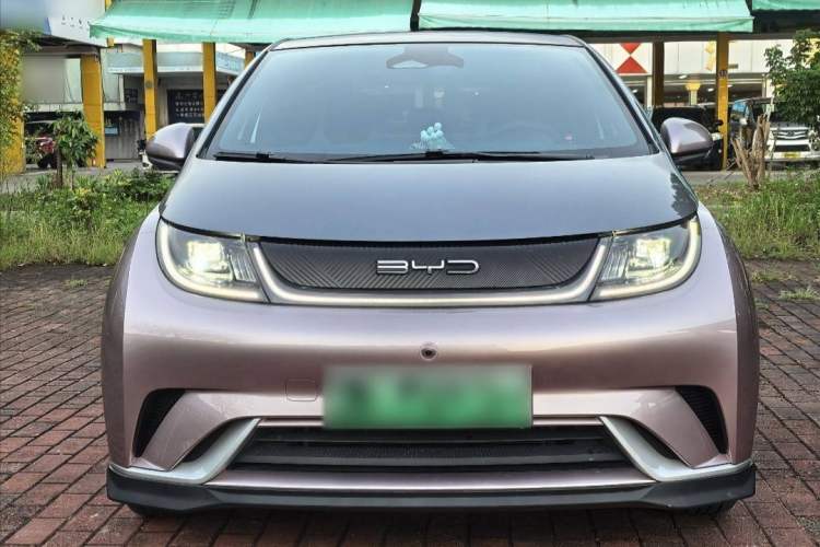 Used BYD Dolphin 2021 401km Knight Edition Exterior 1