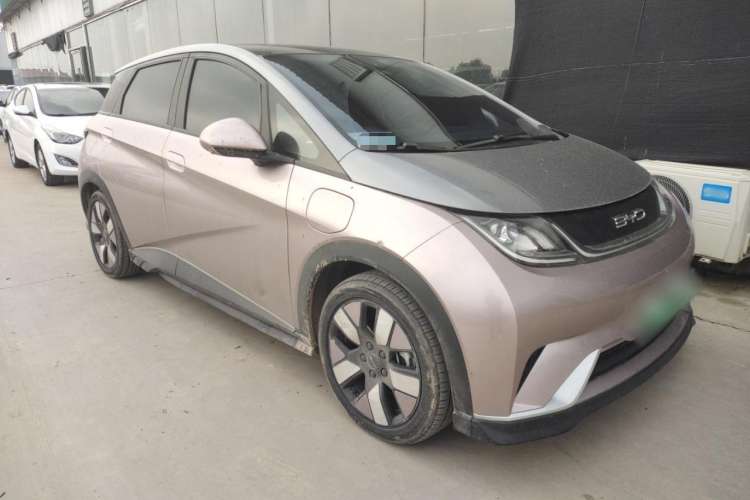 Used BYD Dolphin 2021 401km Knight Edition Exterior 2