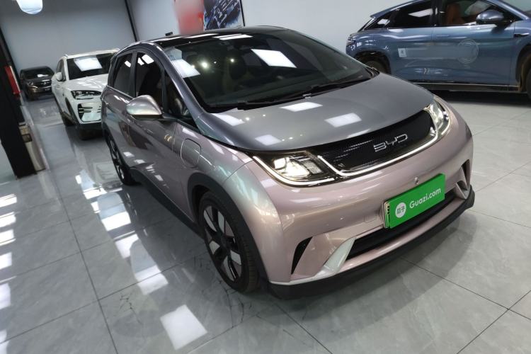 Used BYD Dolphin 2021 401km Knight Edition Exterior 2