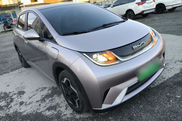 Used BYD Dolphin 2021 405 km Fashion Edition Exterior 2