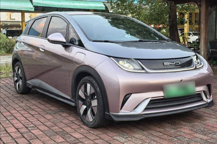 Used BYD Dolphin 2021 401km Knight Edition Exterior 2