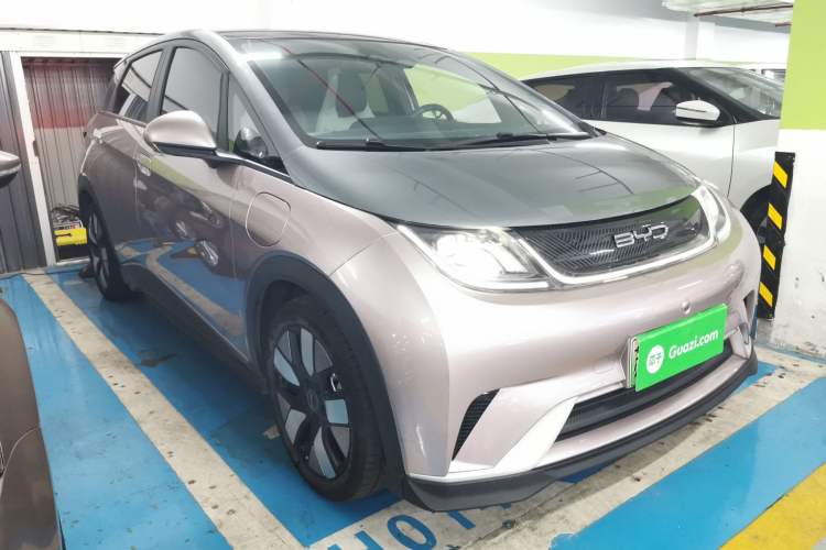 Used BYD Dolphin 2021 401km Knight Edition Exterior 2