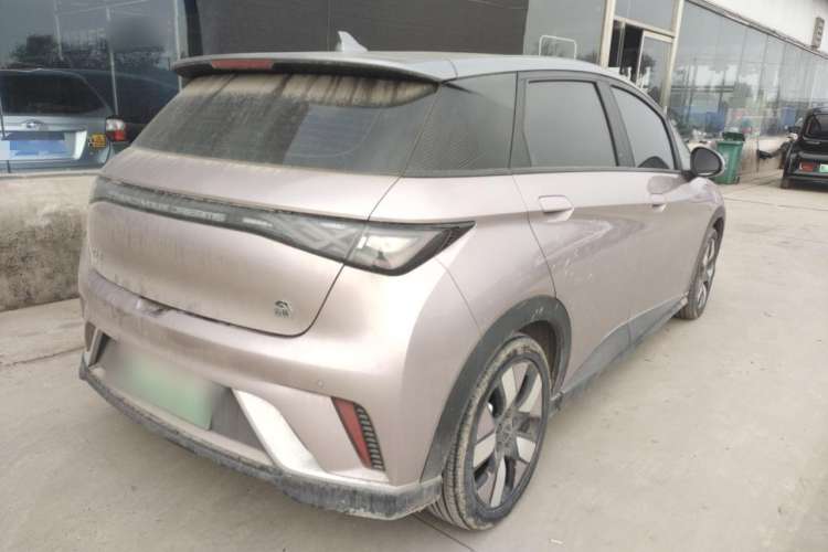 Used BYD Dolphin 2021 401km Knight Edition Exterior 3