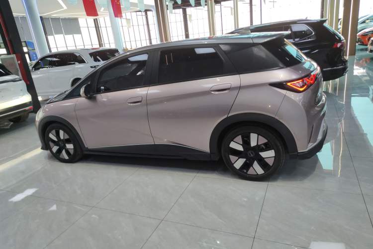 Used BYD Dolphin 2021 401km Knight Edition Exterior 3