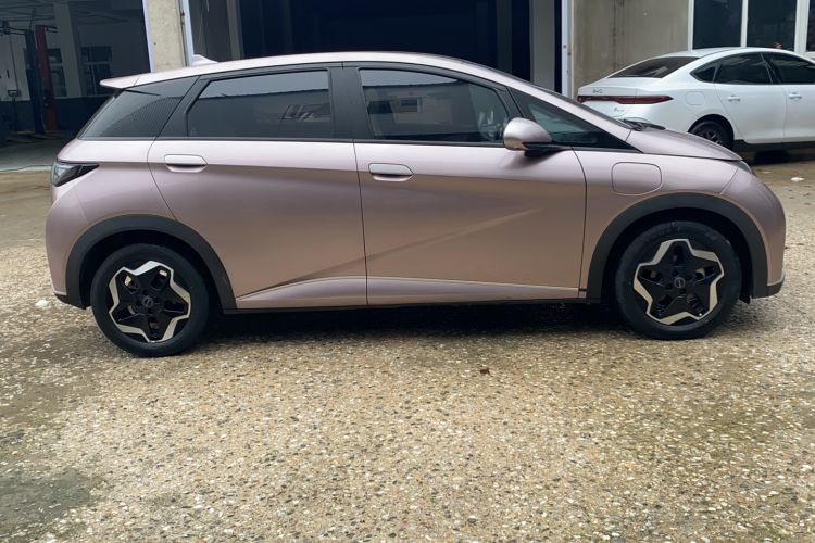 Used BYD Dolphin 2021 405 km Fashion Edition Exterior 3