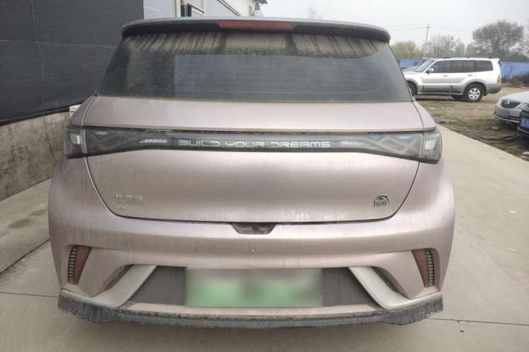 Used BYD Dolphin 2021 401km Knight Edition Exterior 4