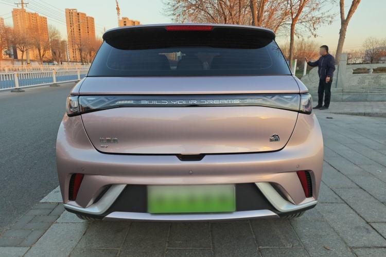 Used BYD Dolphin 2021 405 km Fashion Edition Exterior 4