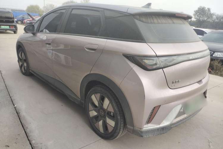 Used BYD Dolphin 2021 401km Knight Edition Exterior 5