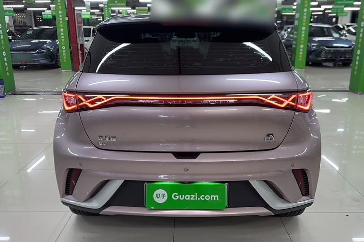 Used BYD Dolphin 2021 405 km Fashion Edition Exterior 5