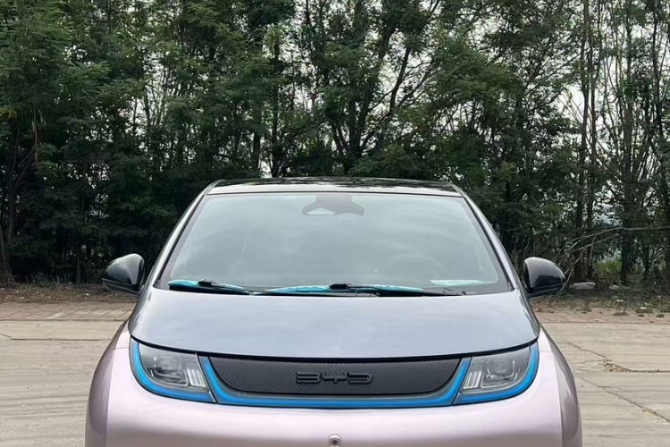 Used BYD Dolphin 2021 401km Knight Edition Exterior 5