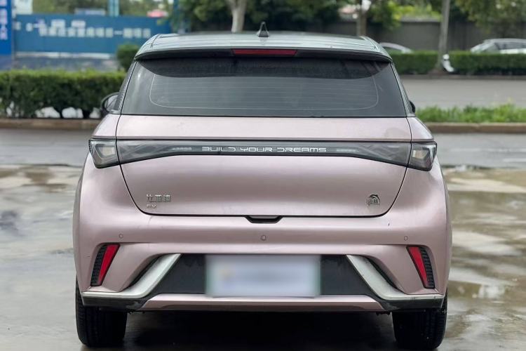 Used BYD Dolphin 2021 405 km Fashion Edition Exterior 5