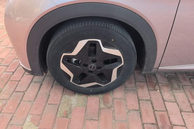 Used BYD Dolphin 2021 405 km Fashion Edition Exterior 7