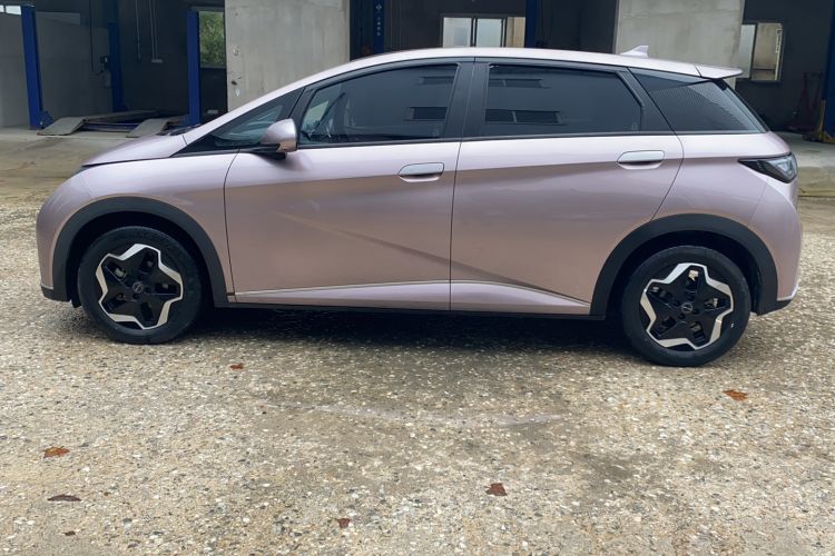Used BYD Dolphin 2021 405 km Fashion Edition Exterior 9