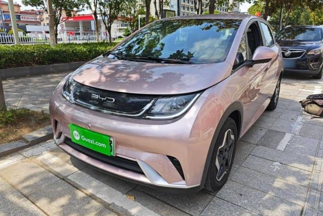 Used BYD Dolphin 2021 405 km Free Version