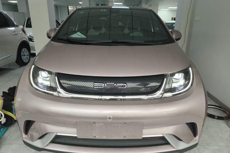 Used BYD Dolphin 2021 405 km Fashion Edition Front