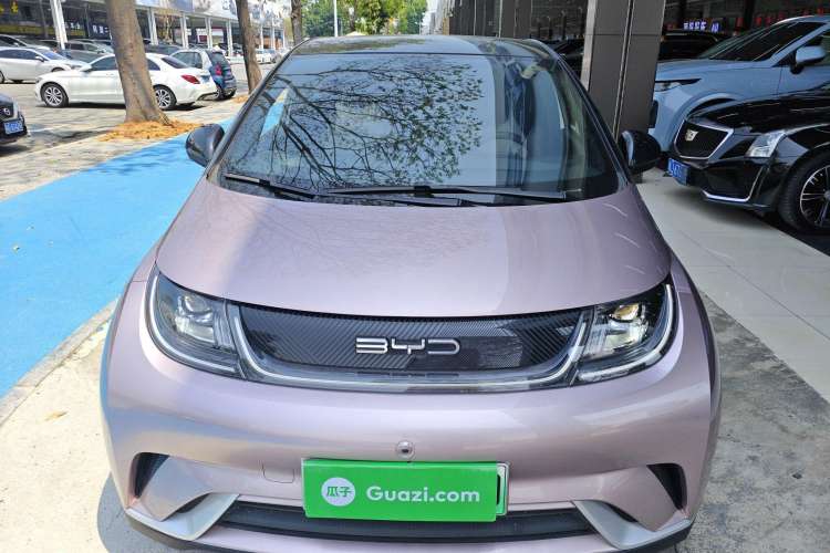 Used BYD Dolphin 2021 405 km Fashion Edition Front
