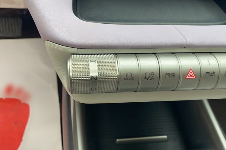 Used BYD Dolphin 2021 405 km Fashion Edition Gear Lever