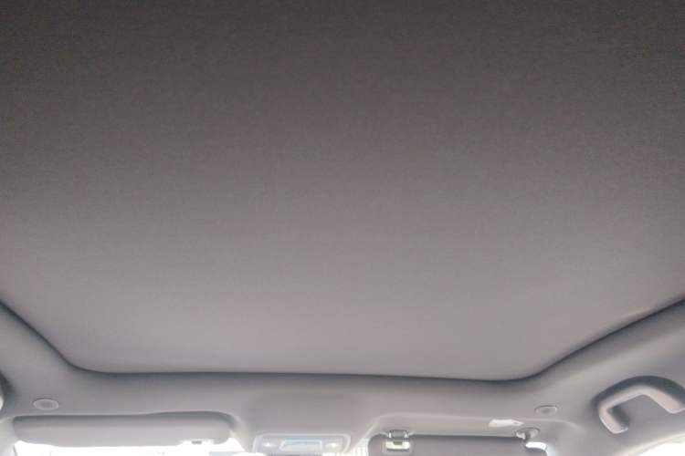 Used BYD Dolphin 2021 405 km Fashion Edition Headliner