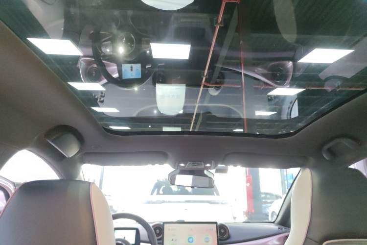 Used BYD Dolphin 2021 401km Knight Edition Headliner