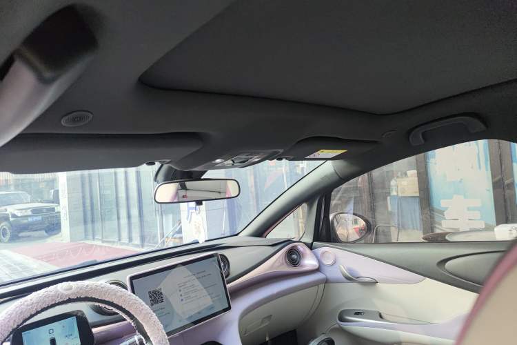 Used BYD Dolphin 2021 405 km Fashion Edition Headliner