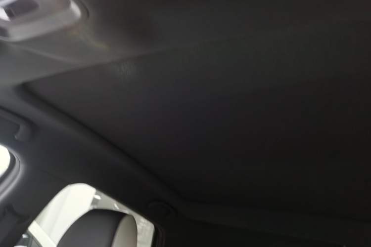 Used BYD Dolphin 2021 405 km Fashion Edition Headliner