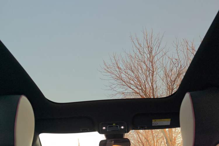 Used BYD Dolphin 2021 405 km Fashion Edition Headliner