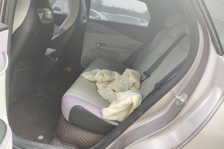 Used BYD Dolphin 2021 401km Knight Edition Interior 1