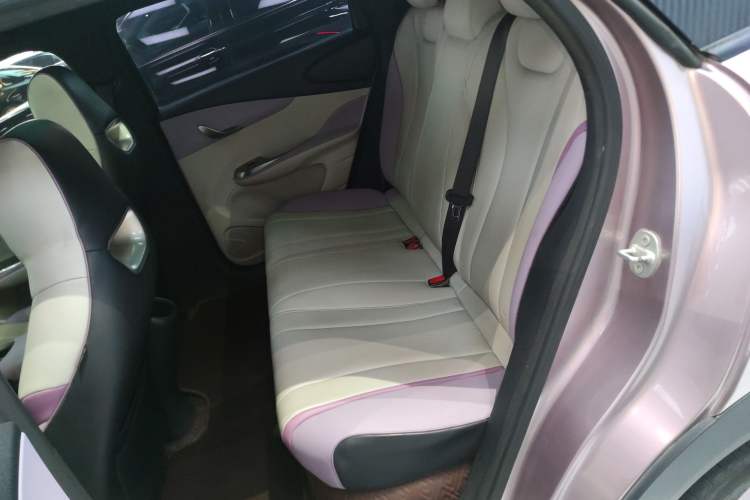 Used BYD Dolphin 2021 401km Knight Edition Interior 4