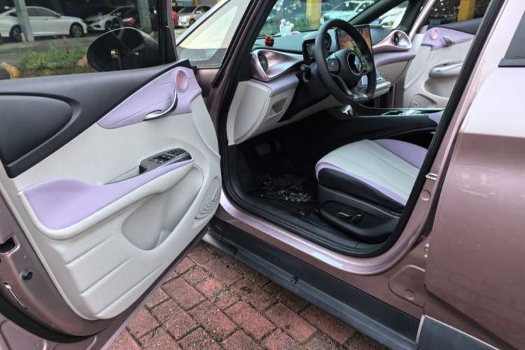 Used BYD Dolphin 2021 401km Knight Edition Interior 4